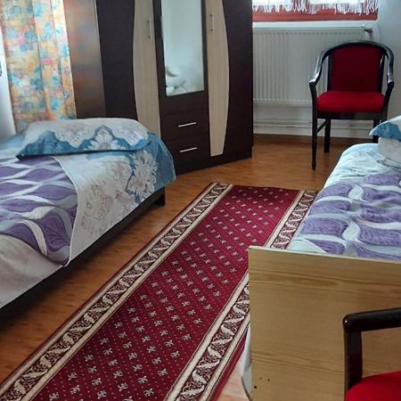 דירות וטרה דורניי Casa Rodica מראה חיצוני תמונה