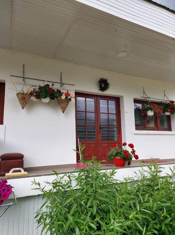 דירות וטרה דורניי Casa Rodica מראה חיצוני תמונה