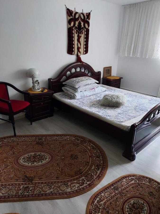 דירות וטרה דורניי Casa Rodica מראה חיצוני תמונה